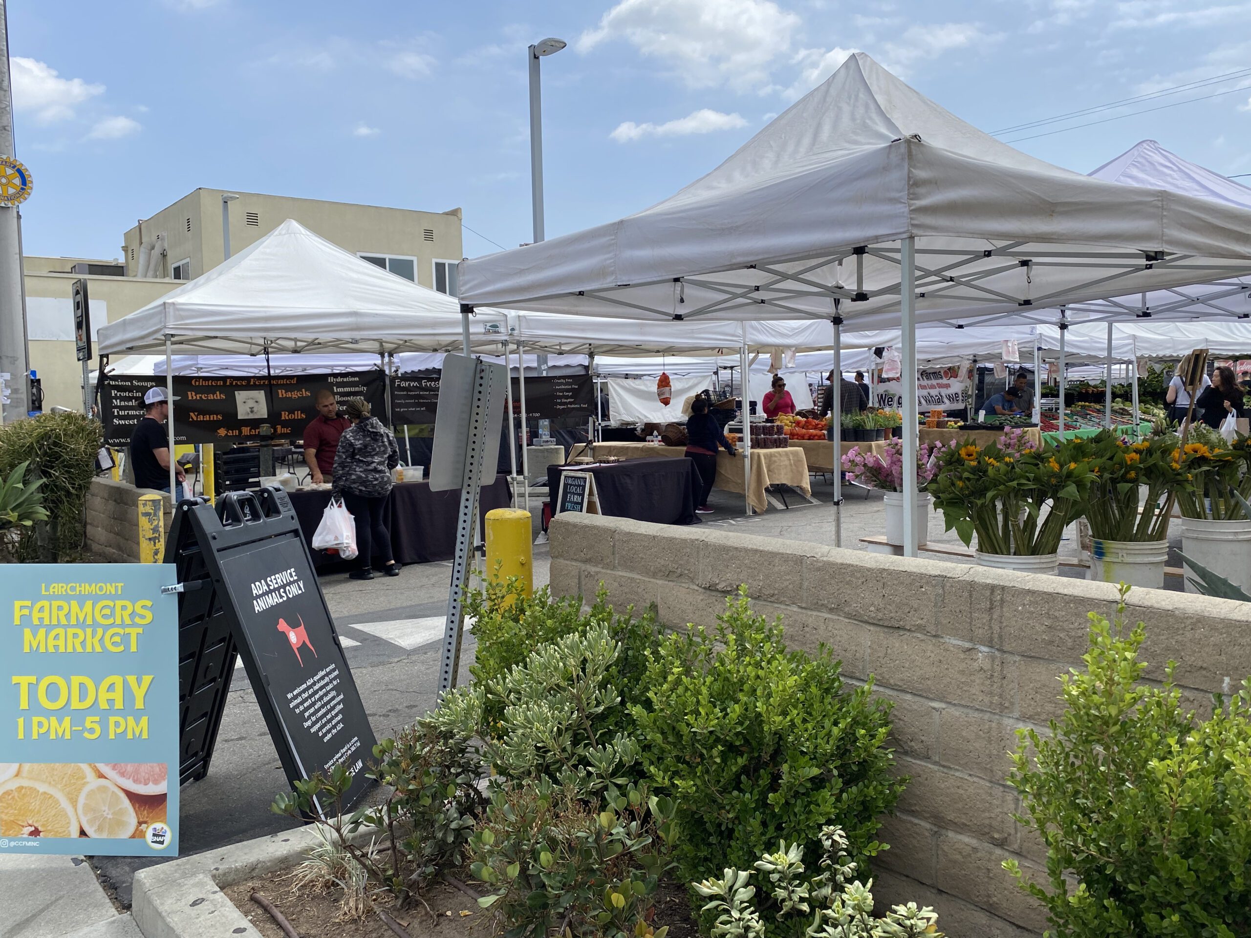 Larchmont Village Farmers Market