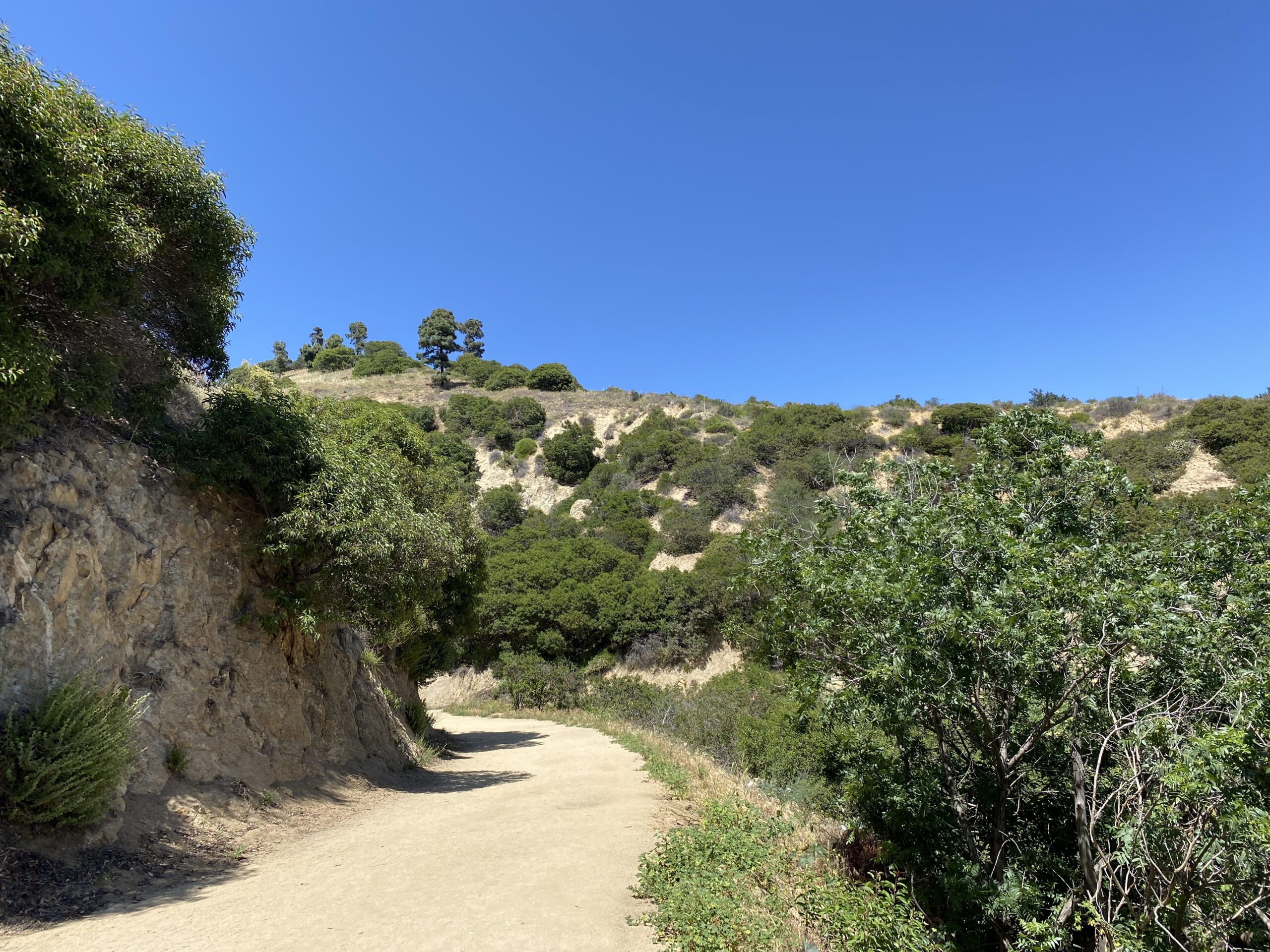 Griffith Trails