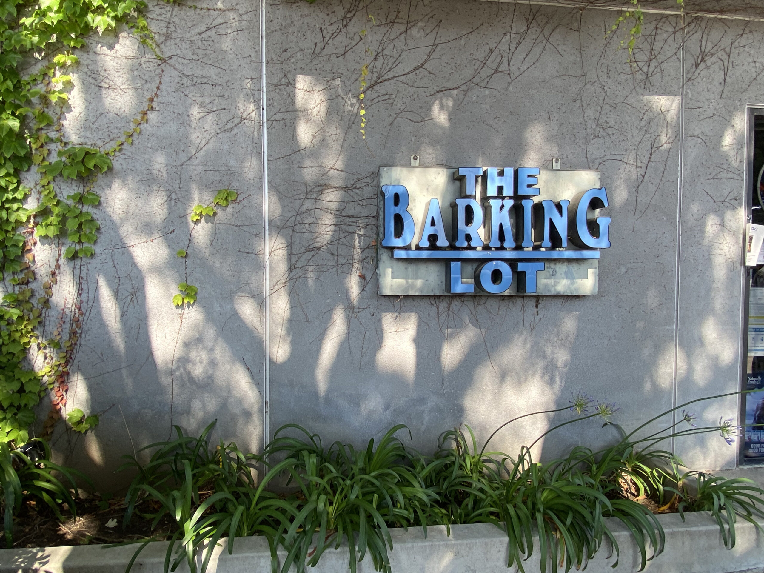Larchmont Barking Lot