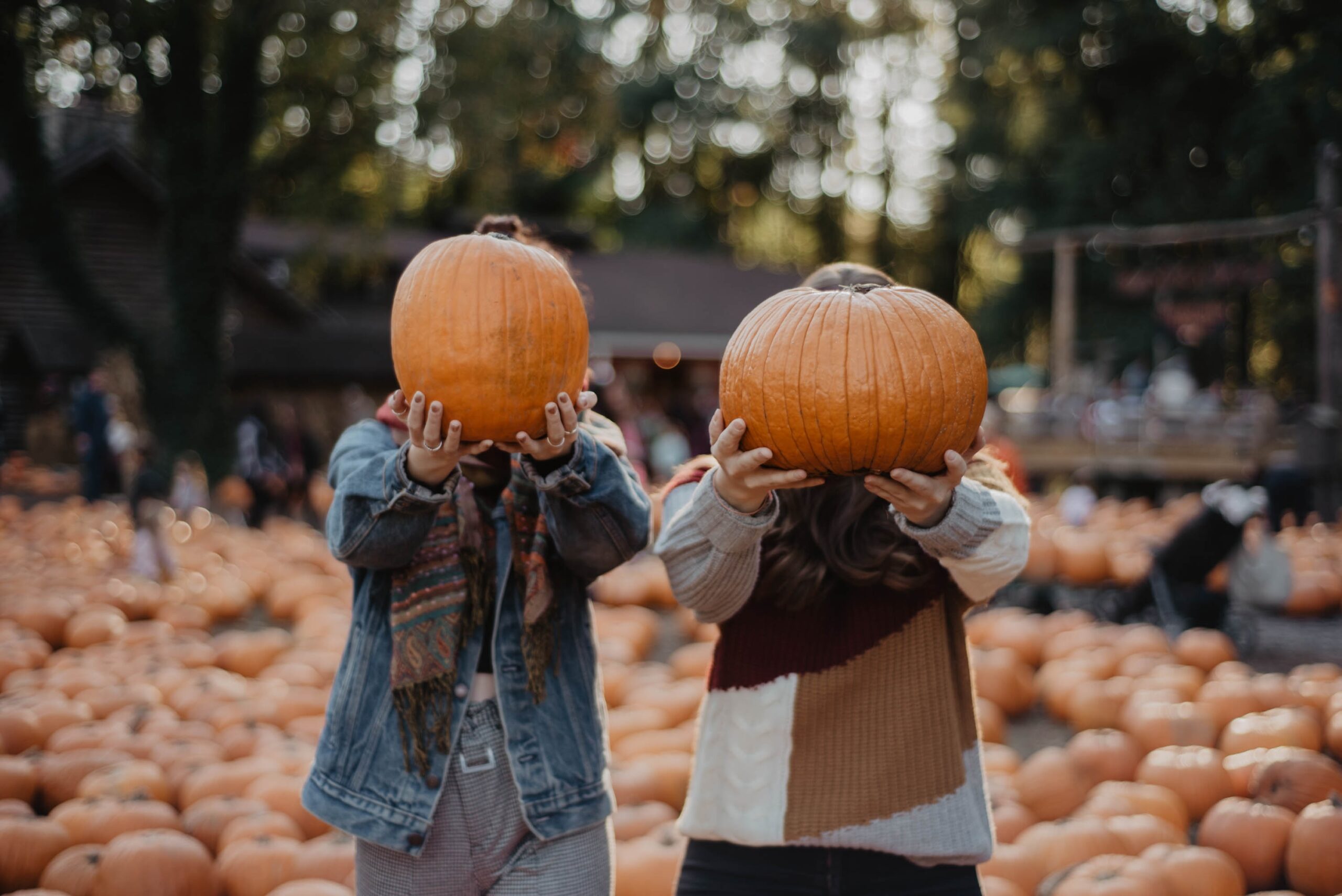 Pumpkin Intro 1