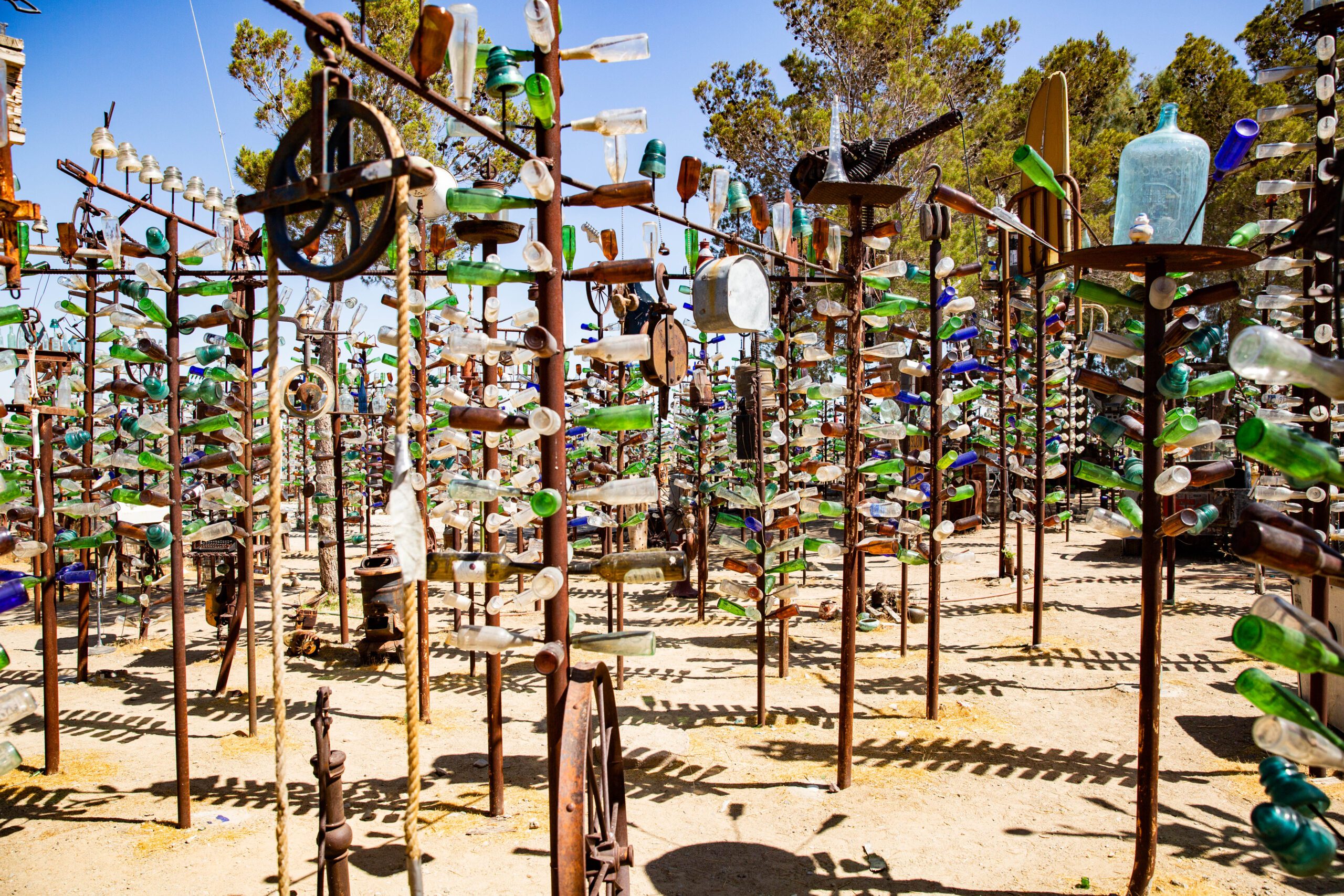 Elmers Bottle Tree Ranch 1