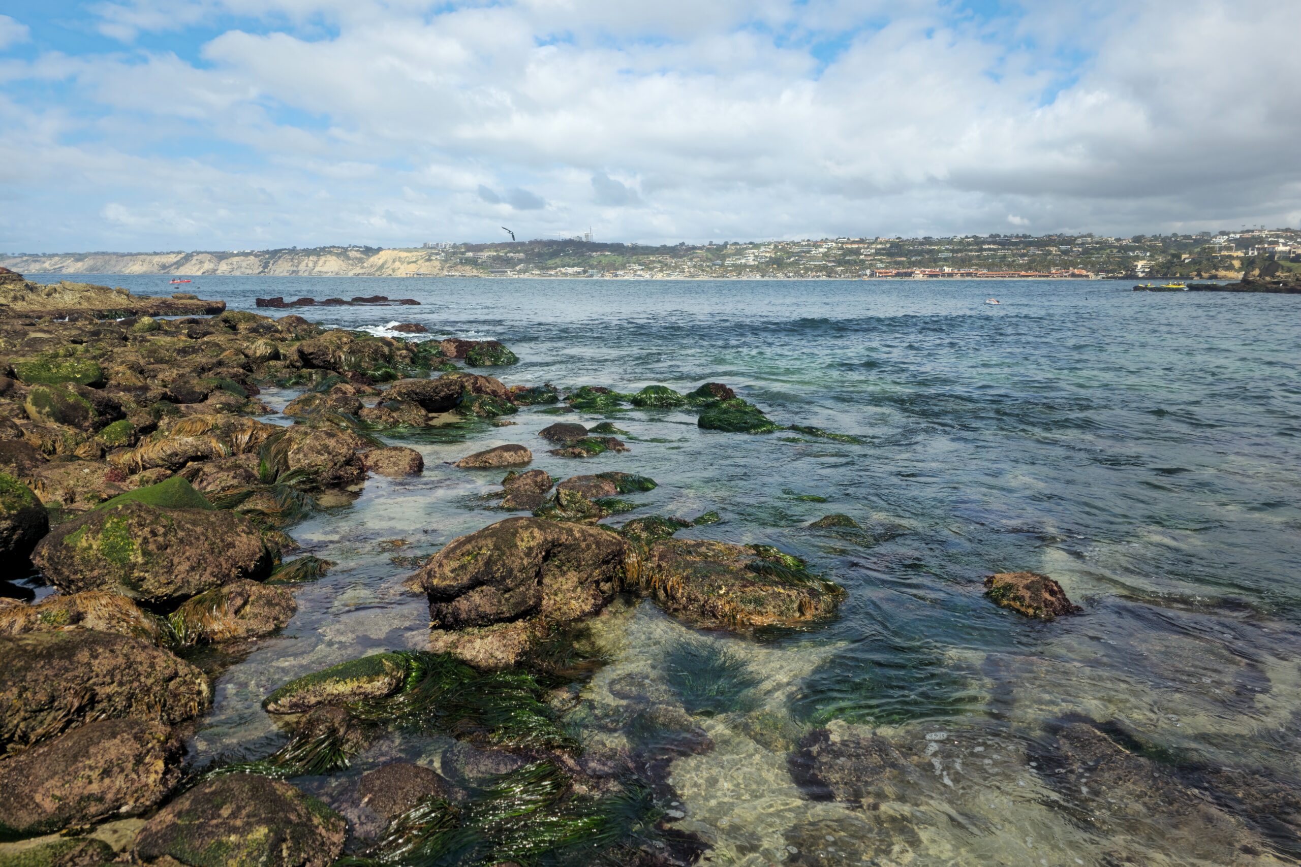 La Jolla Cove San Diego