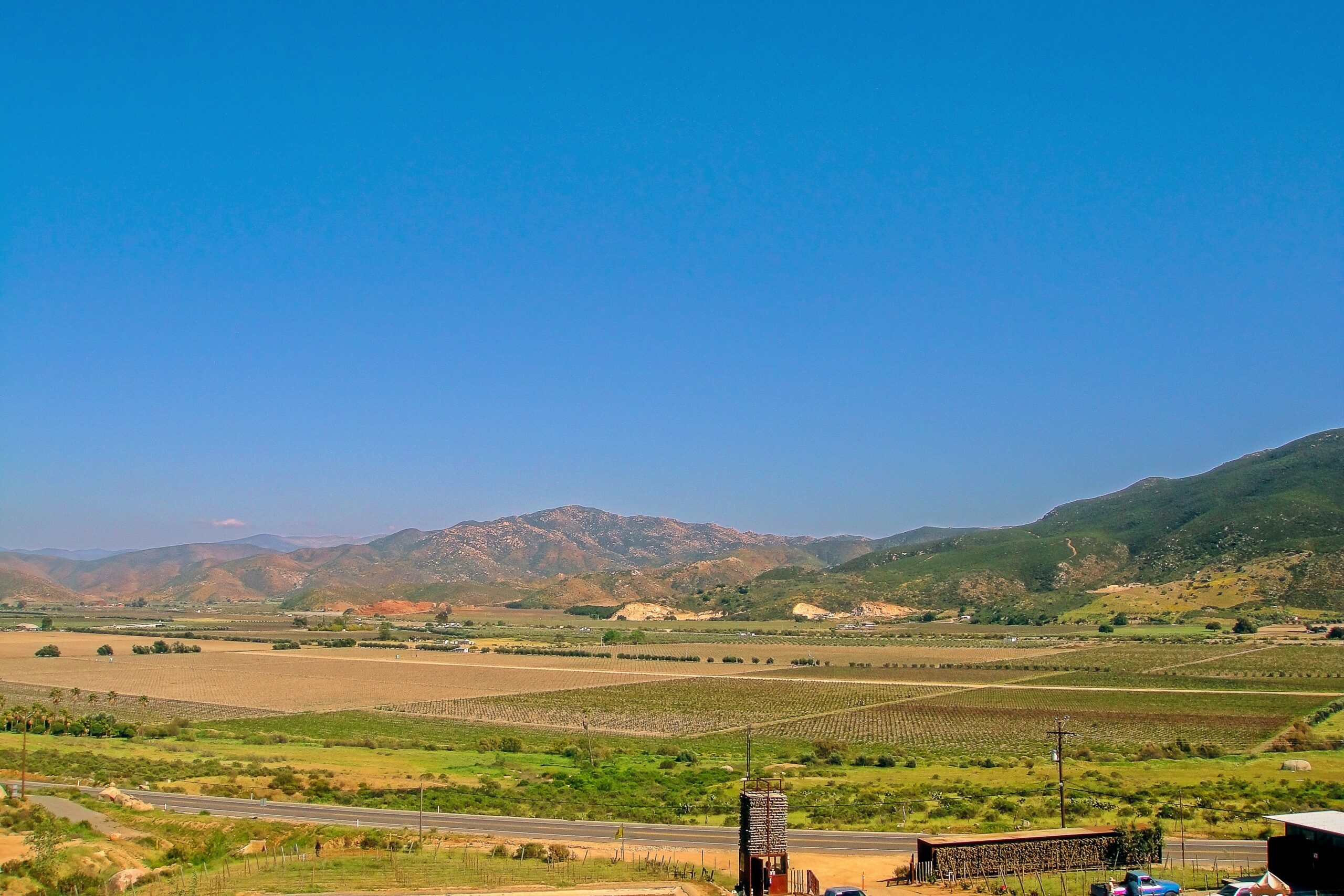 Vineyard View Valle De Guadalupe Baja California Mexico