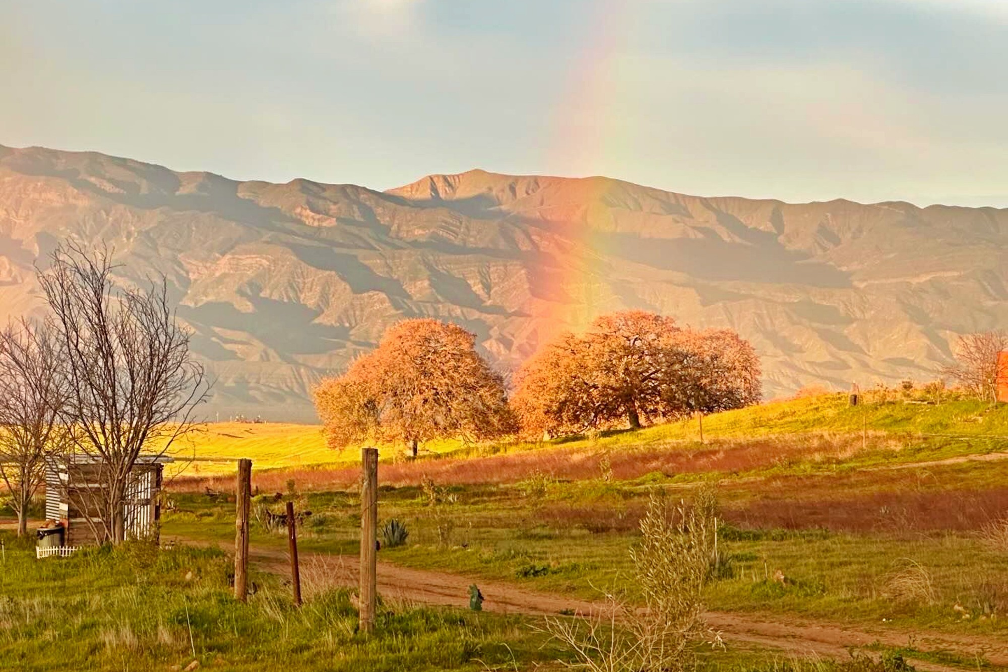 Cuyama Oaks Ranch Rainbow Landscape