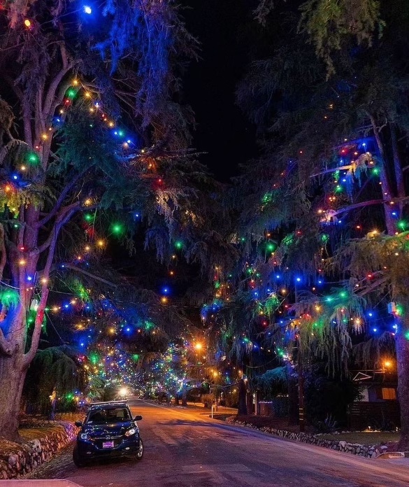 Christmas Tree Lane Altadena