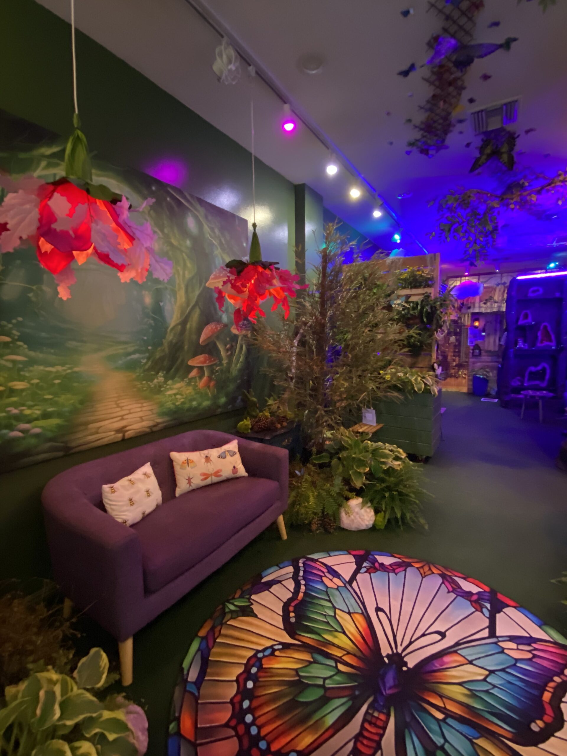 Secret Forest Front Lounge