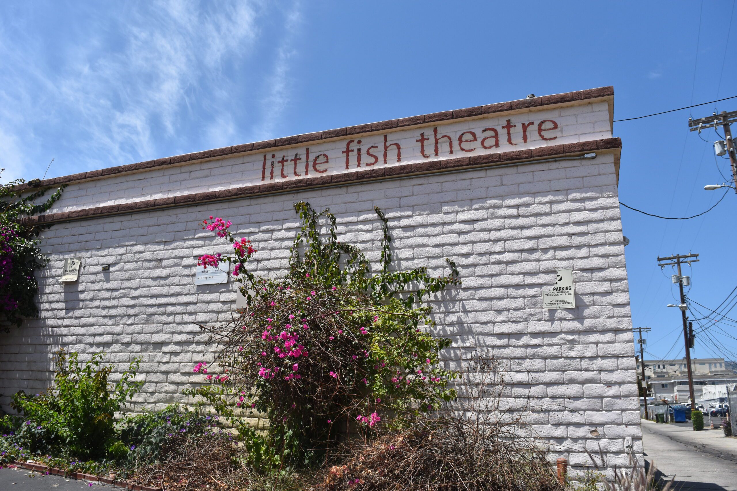 Little Fish Theatre Ext
